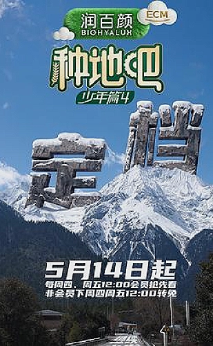好，我们离婚吧